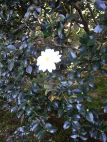 あやこ☆先生のハッピー♪ラッキー♪大好き～♪