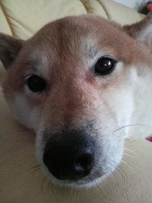 あやこ☆先生のハッピー♪ラッキー♪大好き~♪