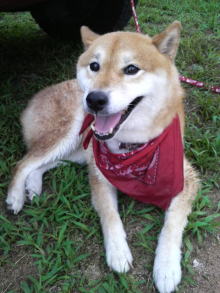 あやこ☆先生のハッピー♪ラッキー♪大好き~♪