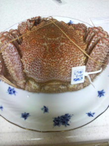 あやこ☆先生のハッピー♪ラッキー♪大好き～♪