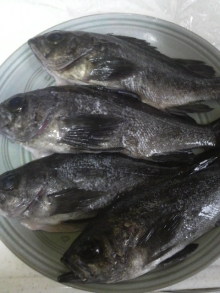 あやこ☆先生のハッピー♪ラッキー♪大好き～♪