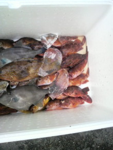 あやこ☆先生のハッピー♪ラッキー♪大好き～♪