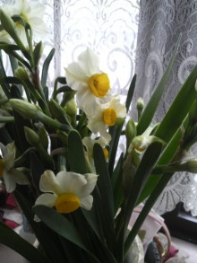 あやこ☆先生のハッピー♪ラッキー♪大好き～♪