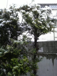 あやこ☆先生のハッピー♪ラッキー♪大好き～♪