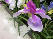 あやこ☆先生のハッピー♪ラッキー♪大好き～♪