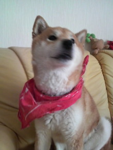 あやこ☆先生のハッピー♪ラッキー♪大好き～♪