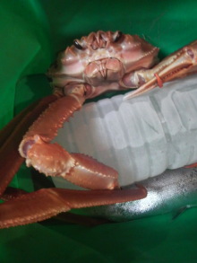 あやこ☆先生のハッピー♪ラッキー♪大好き~♪