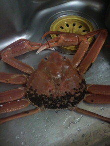 あやこ☆先生のハッピー♪ラッキー♪大好き~♪