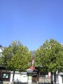 あやこ☆先生のハッピー♪ラッキー♪大好き～♪