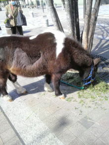 あやこ☆先生のハッピー♪ラッキー♪大好き～♪