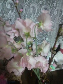 あやこ☆先生のハッピー♪ラッキー♪大好き～♪