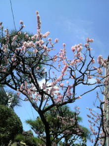 あやこ☆先生のハッピー♪ラッキー♪大好き～♪