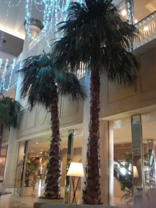 あやこ☆先生のハッピー♪ラッキー♪大好き～♪