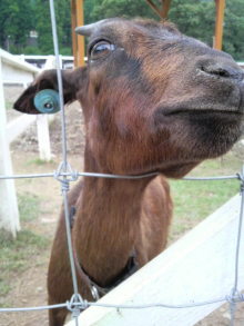 あやこ☆先生のハッピー♪ラッキー♪大好き～♪