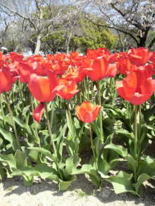 あやこ☆先生のハッピー♪ラッキー♪大好き～♪