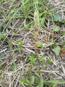 あやこ☆先生のハッピー♪ラッキー♪大好き～♪