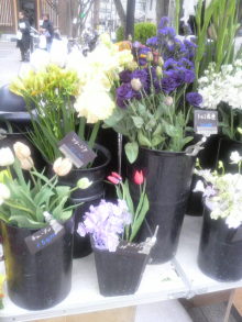 あやこ☆先生のハッピー♪ラッキー♪大好き~♪