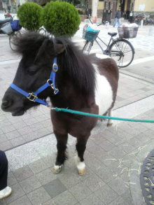 あやこ☆先生のハッピー♪ラッキー♪大好き~♪