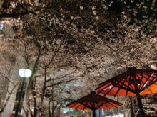 あやこ☆先生のハッピー♪ラッキー♪大好き~♪