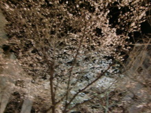 あやこ☆先生のハッピー♪ラッキー♪大好き~♪