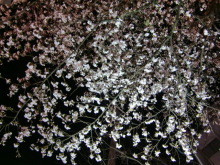 あやこ☆先生のハッピー♪ラッキー♪大好き~♪