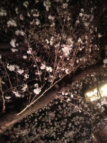 あやこ☆先生のハッピー♪ラッキー♪大好き~♪