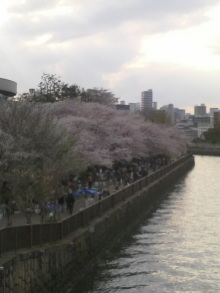 あやこ☆先生のハッピー♪ラッキー♪大好き～♪