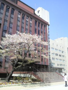 あやこ☆先生のハッピー♪ラッキー♪大好き～♪