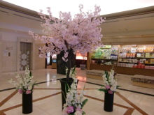 あやこ☆先生のハッピー♪ラッキー♪大好き～♪