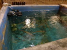 あやこ☆先生のハッピー♪ラッキー♪大好き～♪