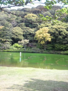 あやこ☆先生のハッピー♪ラッキー♪大好き～♪