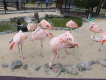 あやこ☆先生のハッピー♪ラッキー♪大好き～♪