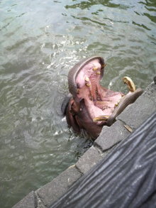 あやこ☆先生のハッピー♪ラッキー♪大好き～♪