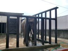 あやこ☆先生のハッピー♪ラッキー♪大好き～♪