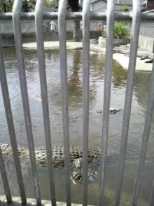 あやこ☆先生のハッピー♪ラッキー♪大好き～♪