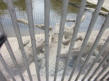 あやこ☆先生のハッピー♪ラッキー♪大好き～♪