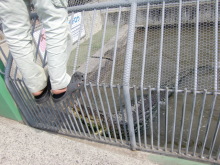 あやこ☆先生のハッピー♪ラッキー♪大好き～♪