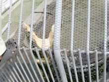 あやこ☆先生のハッピー♪ラッキー♪大好き～♪