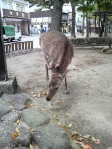 あやこ☆先生のハッピー♪ラッキー♪大好き～♪