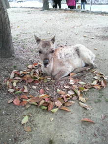 あやこ☆先生のハッピー♪ラッキー♪大好き～♪