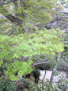 あやこ☆先生のハッピー♪ラッキー♪大好き～♪