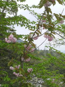 あやこ☆先生のハッピー♪ラッキー♪大好き～♪