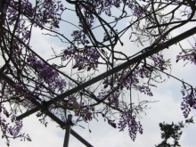 あやこ☆先生のハッピー♪ラッキー♪大好き～♪