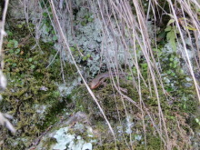 あやこ☆先生のハッピー♪ラッキー♪大好き～♪