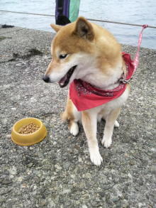 あやこ☆先生のハッピー♪ラッキー♪大好き～♪