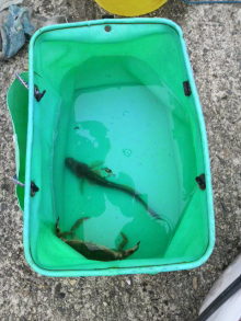 あやこ☆先生のハッピー♪ラッキー♪大好き～♪