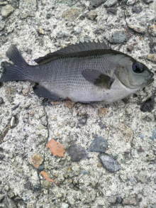 あやこ☆先生のハッピー♪ラッキー♪大好き～♪