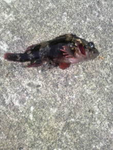 あやこ☆先生のハッピー♪ラッキー♪大好き～♪