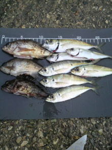 あやこ☆先生のハッピー♪ラッキー♪大好き～♪