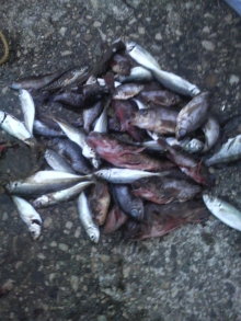 あやこ☆先生のハッピー♪ラッキー♪大好き～♪